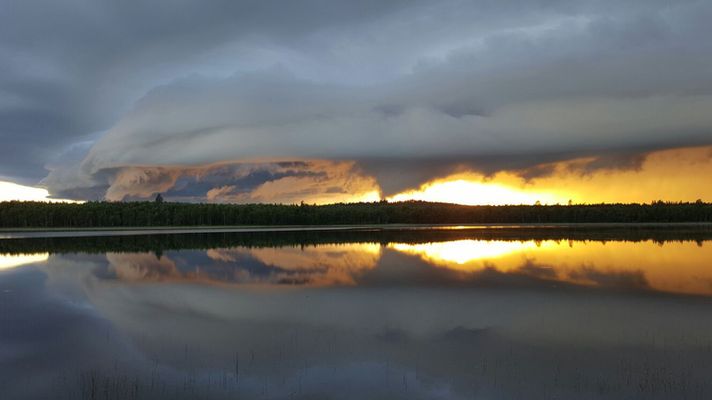 Early Morning Mist