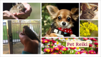 550f9a124f46643db9bed3a4416287c3.png