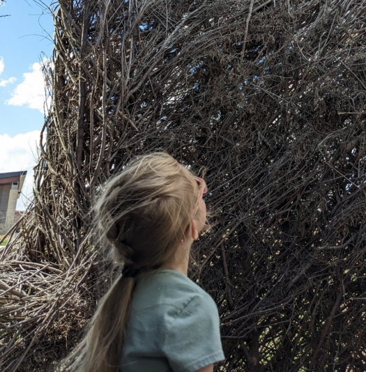 Ilona Stick House