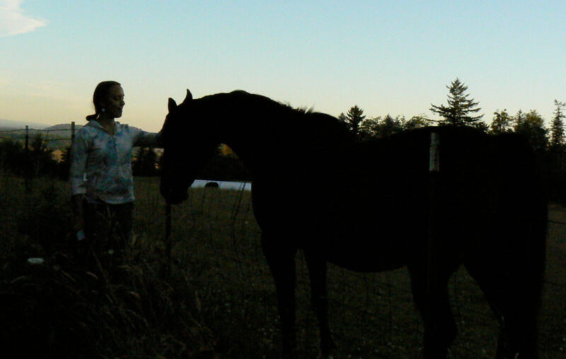 Horse Energy Mystical Healing Oregon Farm