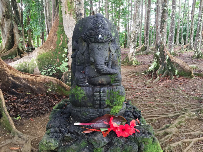 Ganesh Gold Coins Wailua Forest Kauai