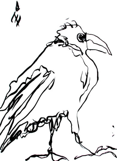 Baby Crow Sedona Arizona Quantum Healing