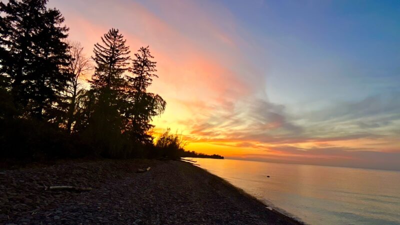 Img 8815