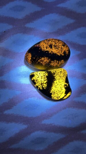 Img 7203