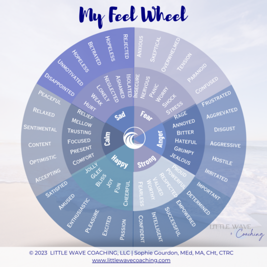 Wheel Of Feelings Chart Instagram Post (2)