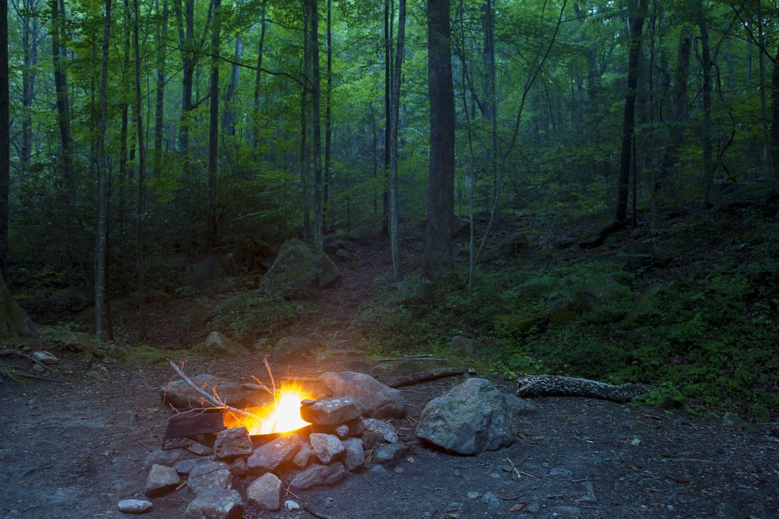 Abandoned Campfire Burning In Night Forest