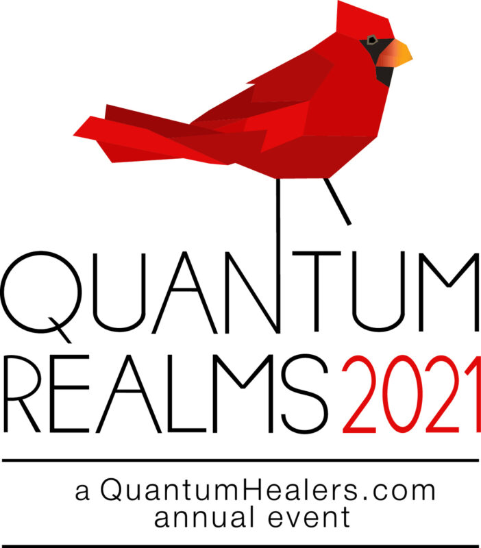 Introducing Quantum Realms
