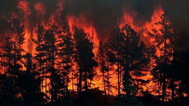 Wildfires -- Solara's State of the Planet March 2018 via Talyaa Liera