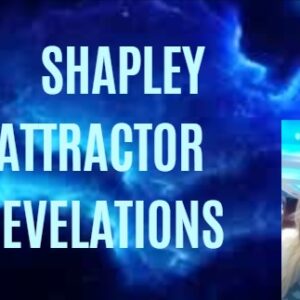 Shapley Attractor