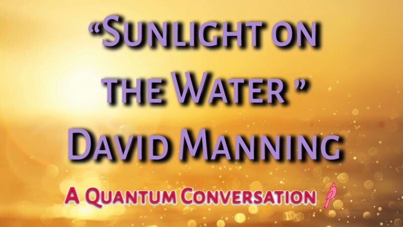David Manning Sunlight On Water