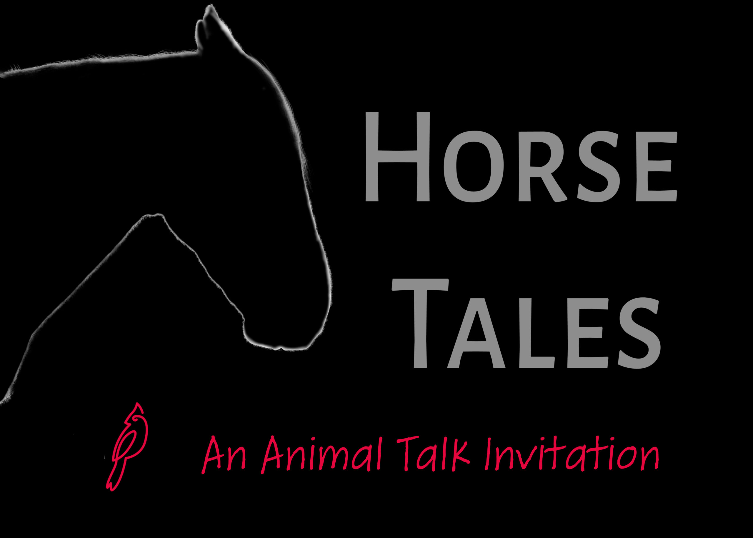 Horse Silhouette