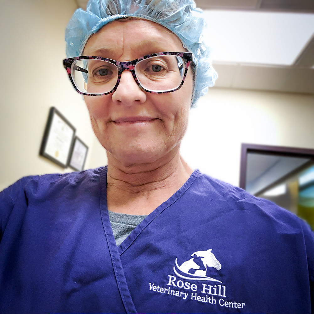 Candace Craw-Goldman wearing a vet scrub top in a veterinary office