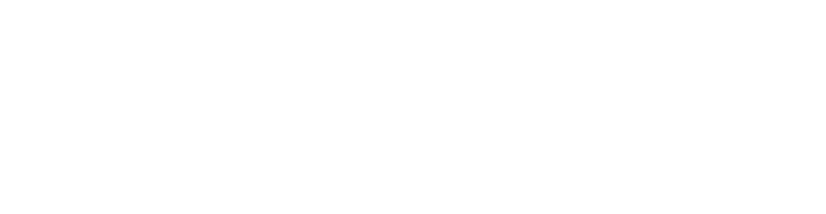 Quantum Healers Logo Wt