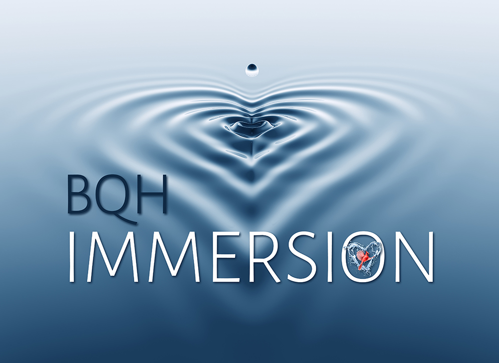 Bqh Immersion Logo